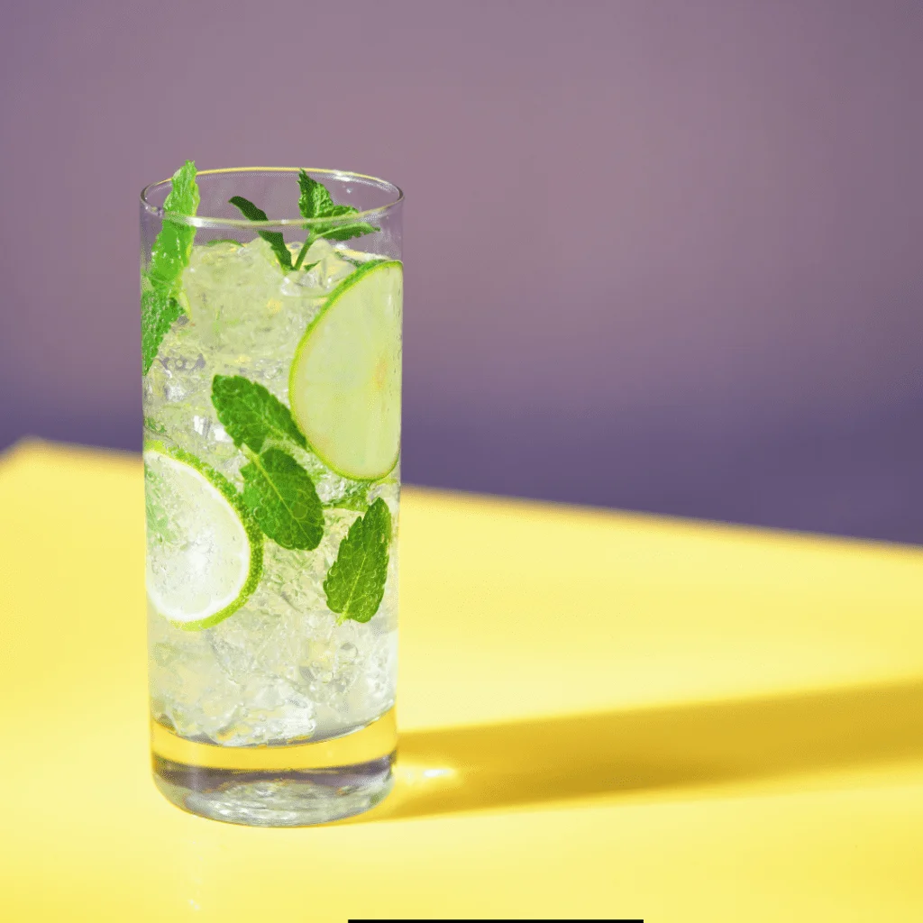 Homemade Waterloo Mojito